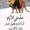 user187973578