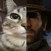 pi3rdolecc