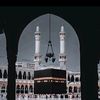 mohamed_wasfy_1