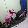 _nopal_54std