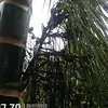 user794720524