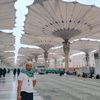 insyallah284