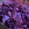 lyululy