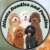 atlantadoodlesandpoodles