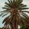 somalilander878