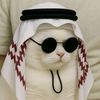 nazmul_mahmud_32
