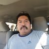 delfinobueno