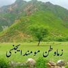 saidaminkhan4