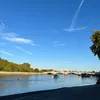 nofrillslondon