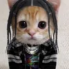 catsaresillyaf