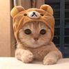 kimjuno888