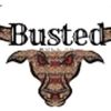 bustedbull