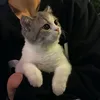 7ur_7