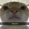 tide_fishlad