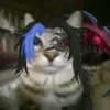toni_bmj26