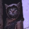 valorkitteh
