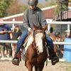 katelyn__equestrian