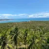 litoralalagoano1