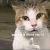 armandozuleta0