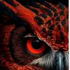mrray_gav