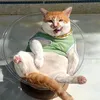 ĐOM ĐỦNG ĐỈNH