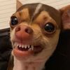 maddoxalyssa