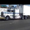cortes_2023