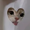 icedmtchaltte_