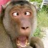 user367470193tayek
