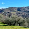 fioraeva