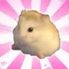 ____okyt37