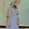 amiishppe12
