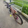 lynxxvx