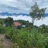 rinasaumn000