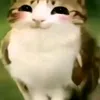 phubuonnhatiktok0