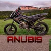 anubis_wolf