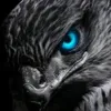 aram_chawshen2