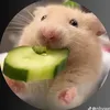 thuylinhdaynekmayma
