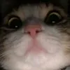 alexeyzhilinsky0