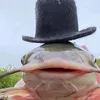 dacvucatre_9