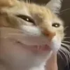 hieuyuice