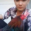 vinh19914