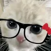 laurex_16