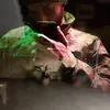 jovy_001