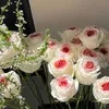 bedauu246