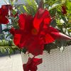 stitchlover72_kat0