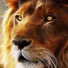 lionheart1111.888
