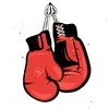 🥊