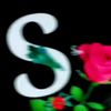 ladlabhatti517