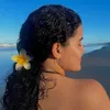 naraquel_